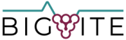 Logo Big Vite