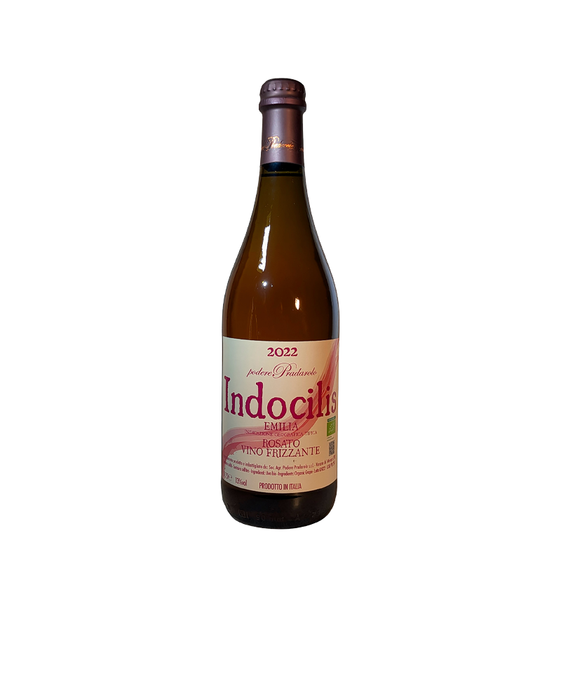 Indocilis Rosato 2022 indocilis rosato 2022