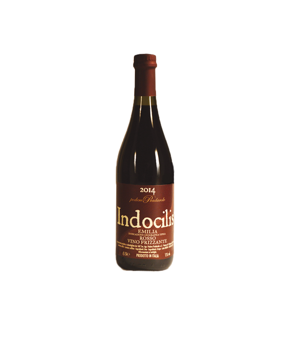 Indocilis 2014 indocilis 2014