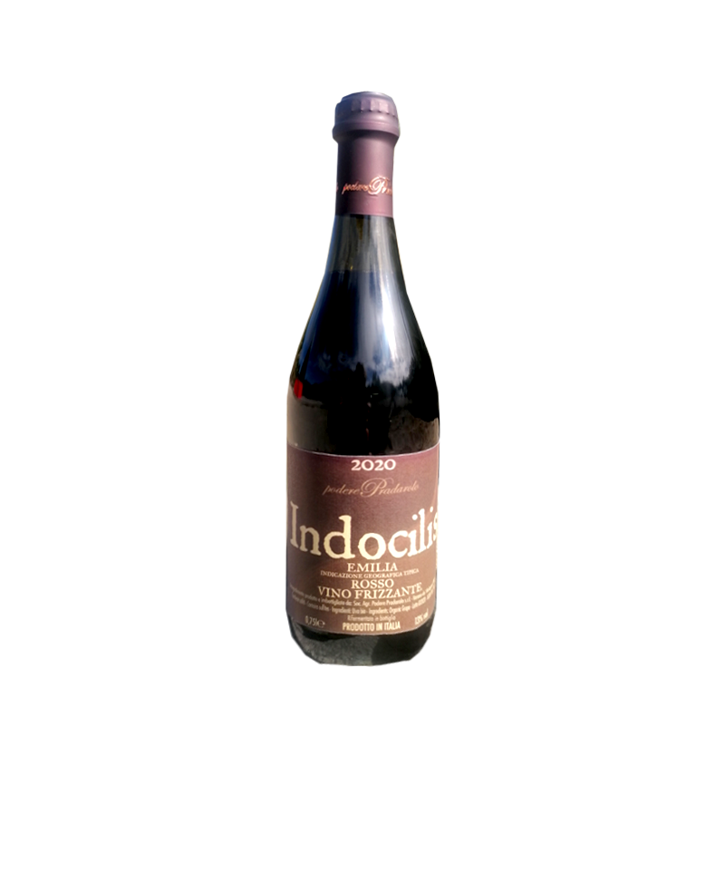 Indocilis 2020 indocilis 2020