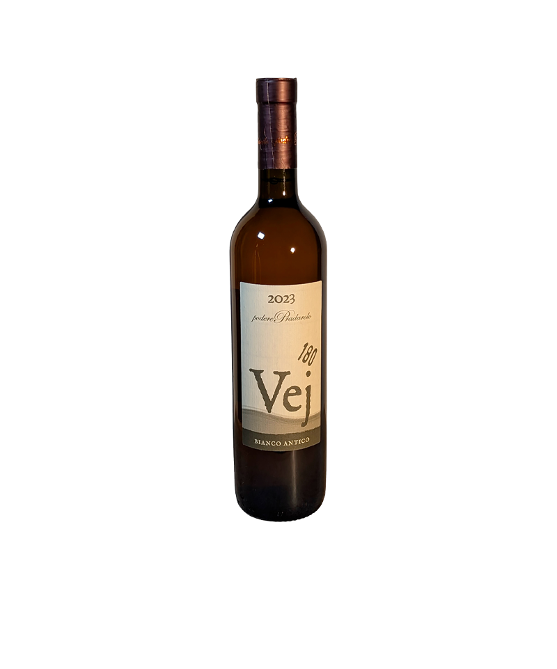 vej 2023